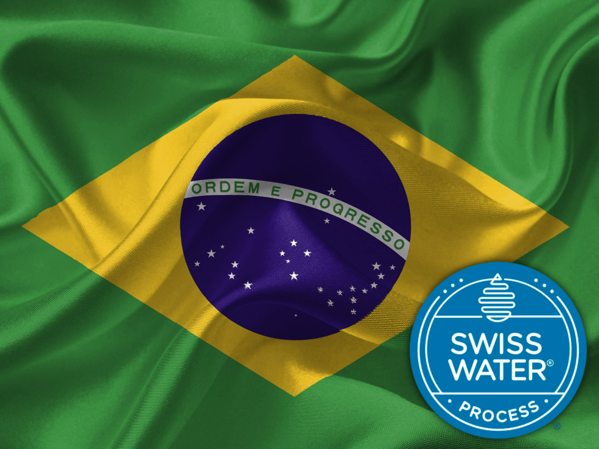 Brazilian Oberon Decaf (Swiss Water Processed)