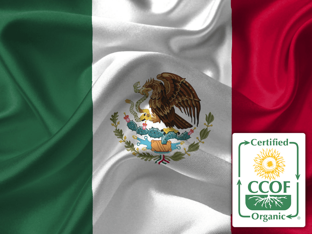 Mexico Organic