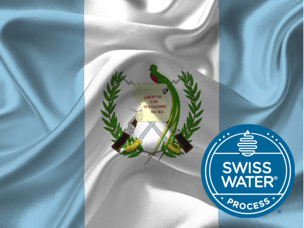 Guatemalan Decaf (Swiss Water Processed)